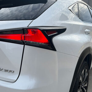 Premium Detailing Lab GRAPHANE COATING LEXUS NX300 1